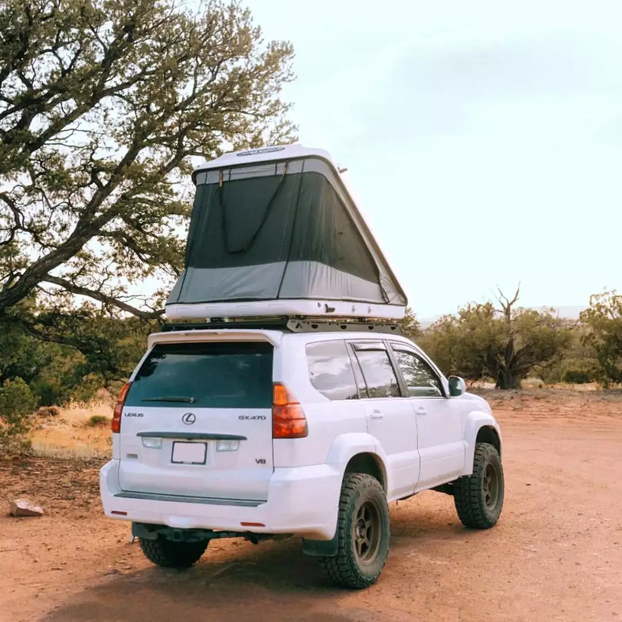 Discovery Evolution